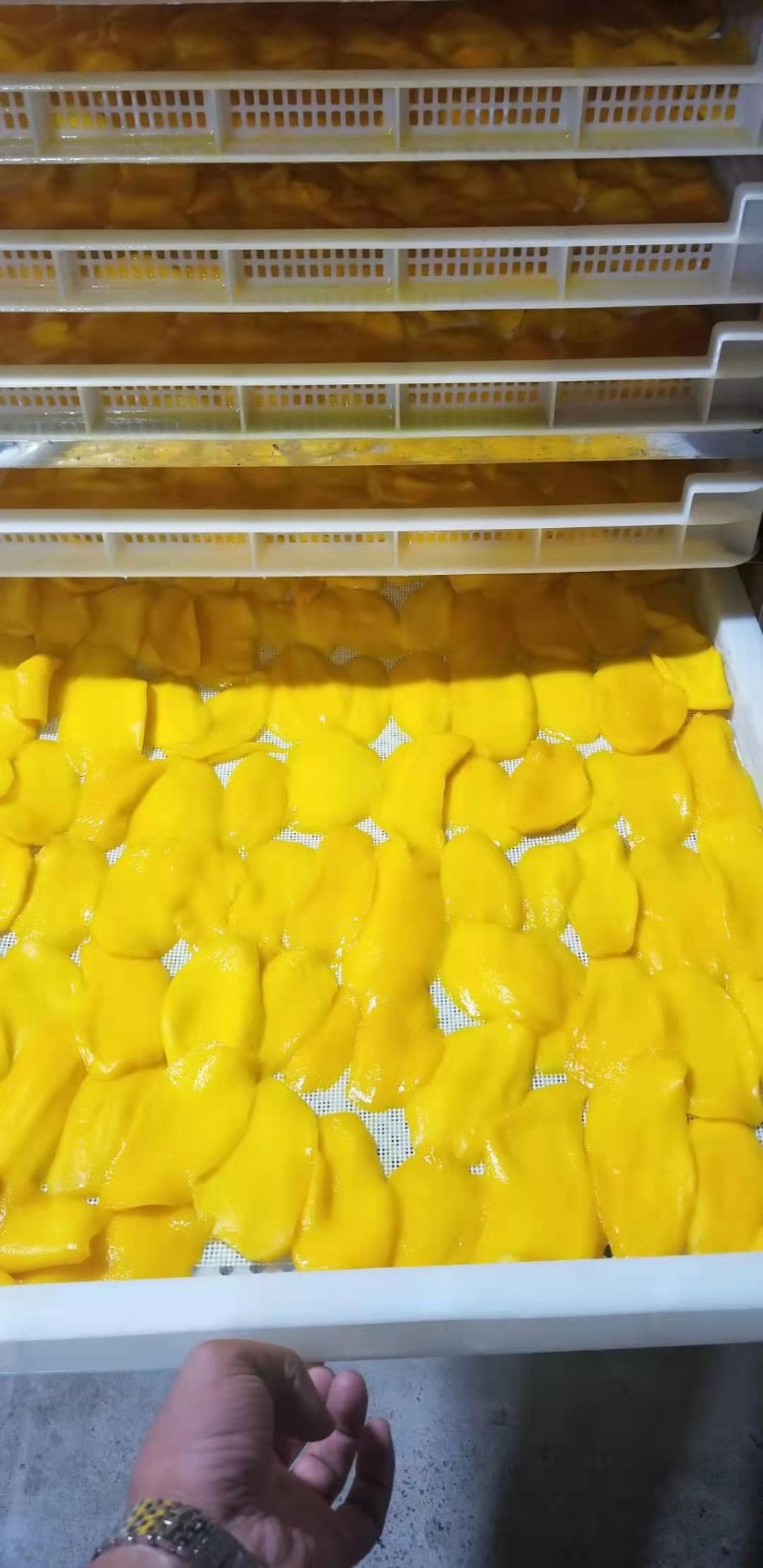 益陽瑪山產(chǎn)業(yè)機械有限公司，湖南益陽螺旋風(fēng)管廠家，熱風(fēng)食品烤房